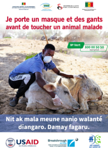 Poster on PPE for animal handling
