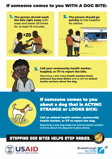 Rabies awareness poster in Sierra Leone